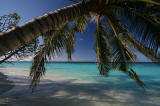 L&L aux Maldives